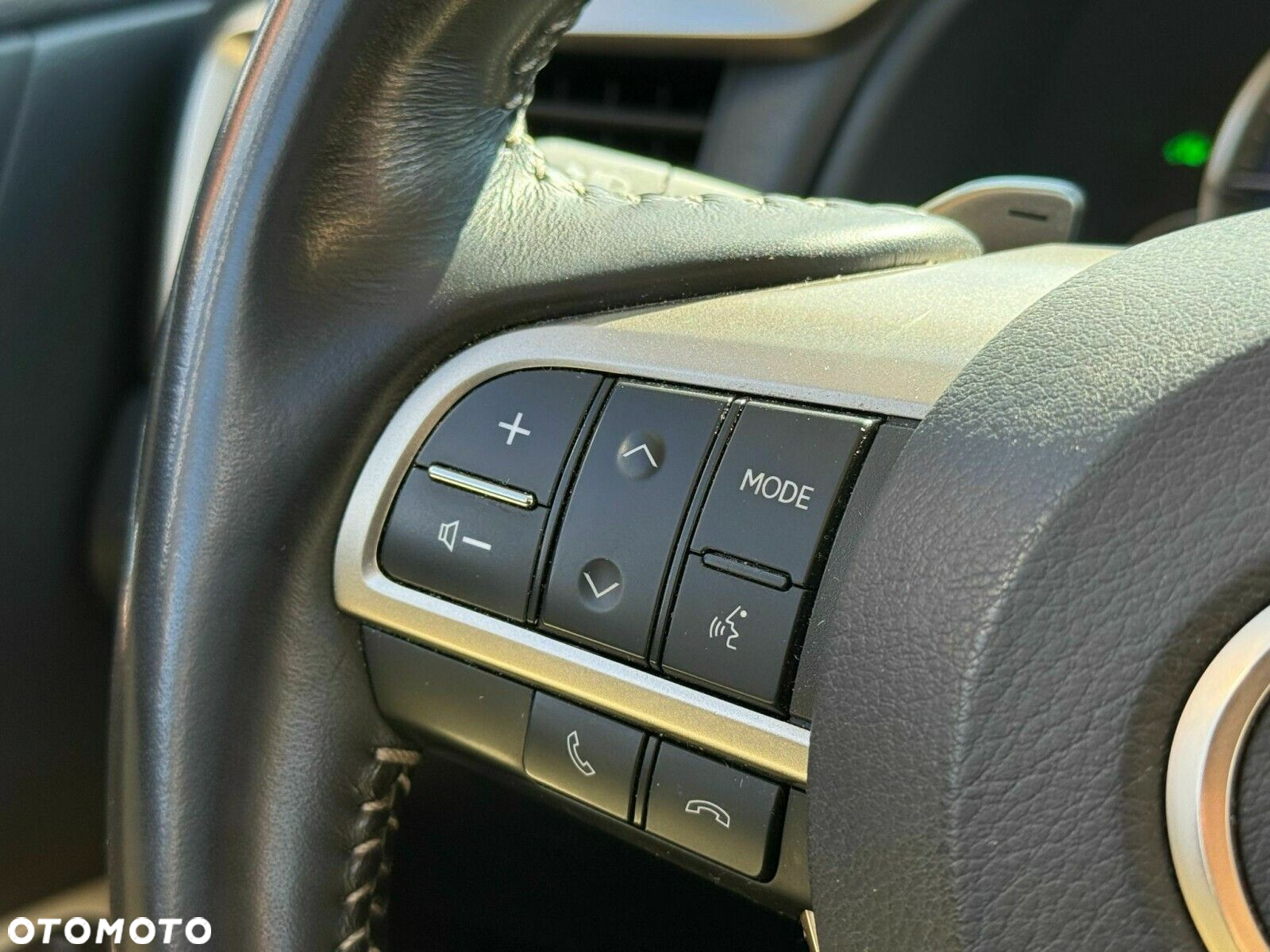 Lexus RX - 18