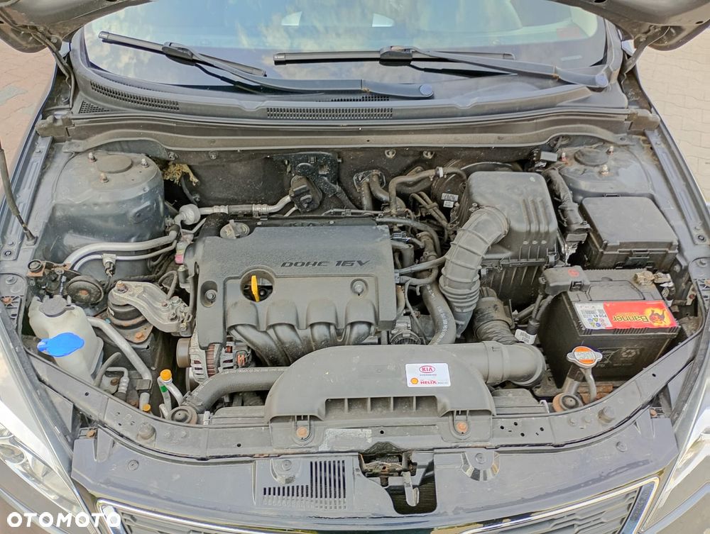Kia ProCeed - 21