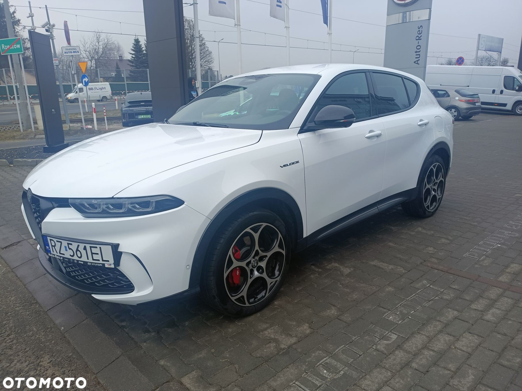 Alfa Romeo Tonale - 2