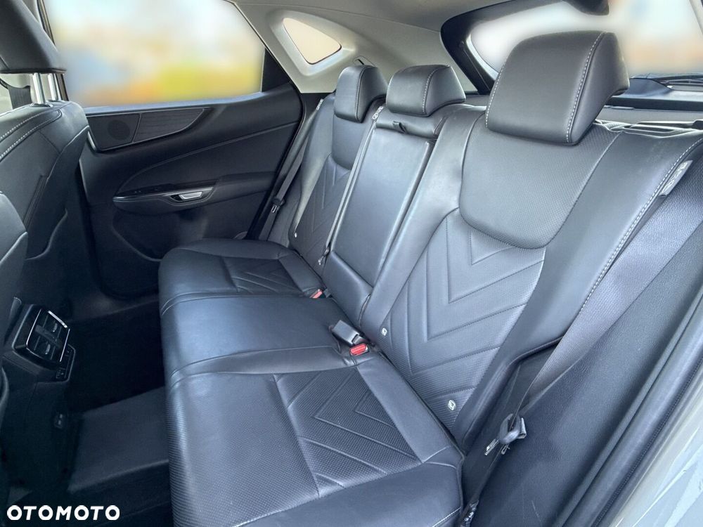 Lexus NX - 18