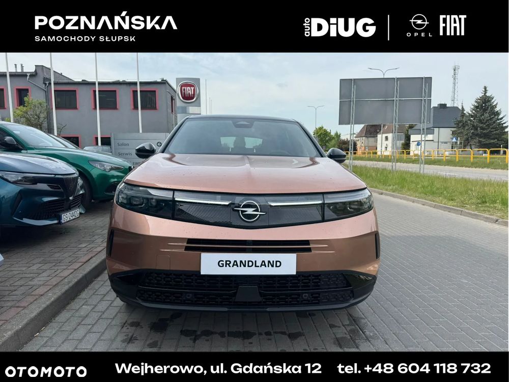 Opel Grandland X