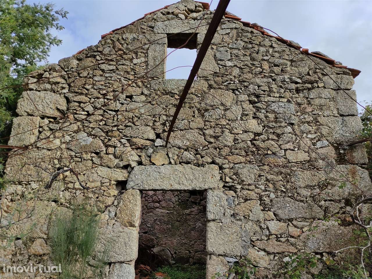 Quinta  Venda em Figueiró da Serra e Freixo da Serra,Gouveia - Grande imagem: 4/24