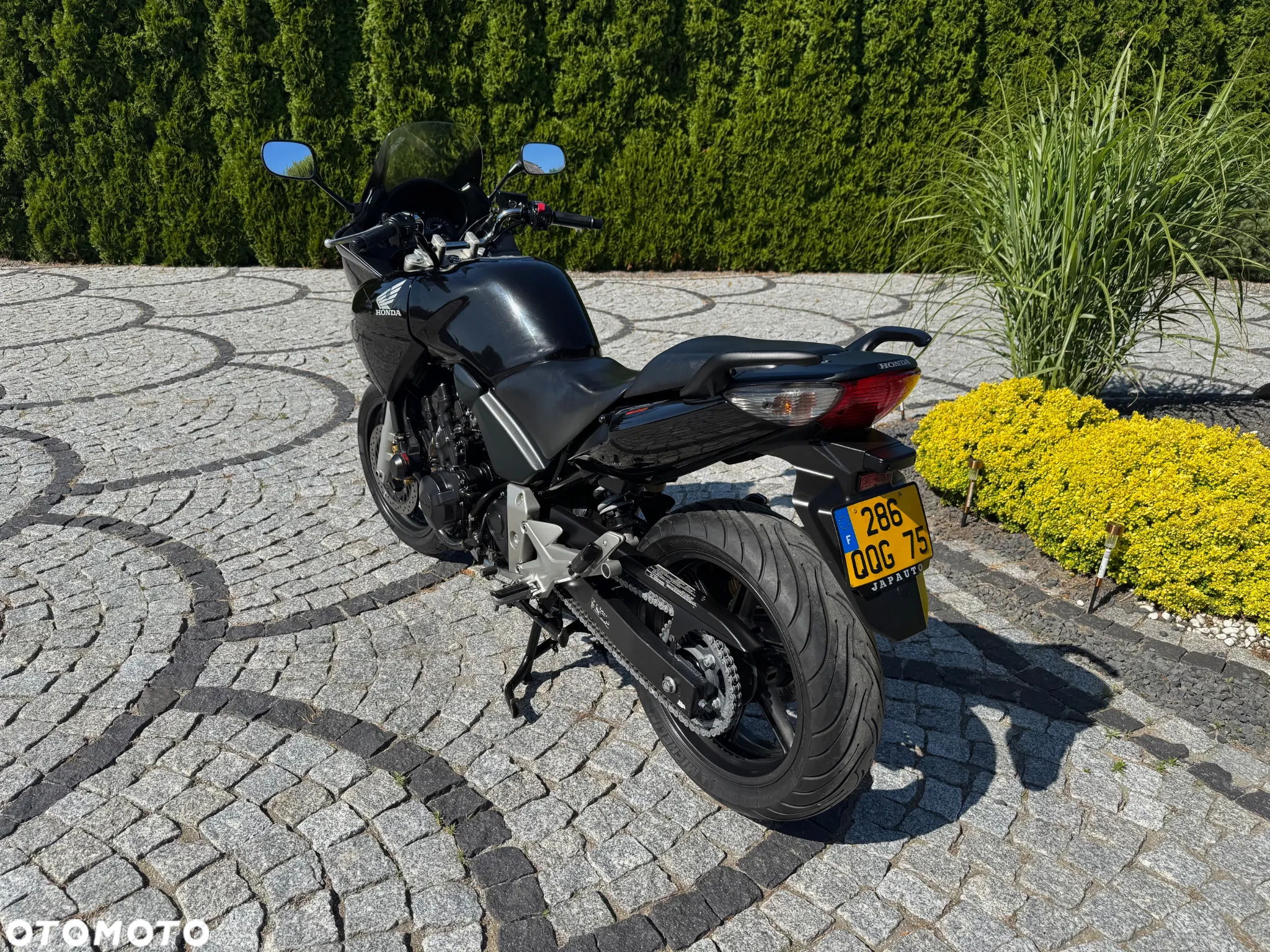 Honda CBF - 6