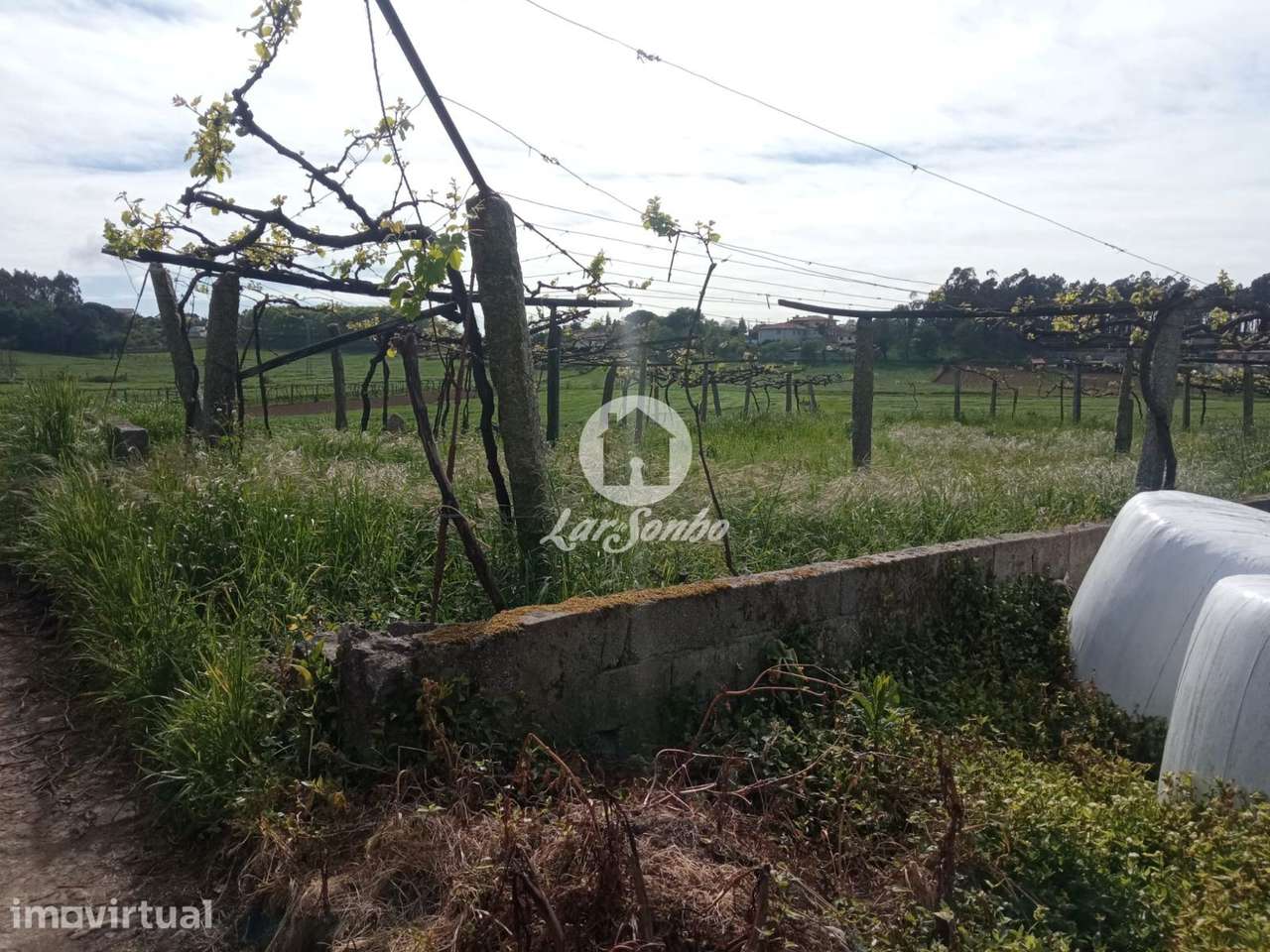Terreno em Barcelos - Grande imagem: 5/11