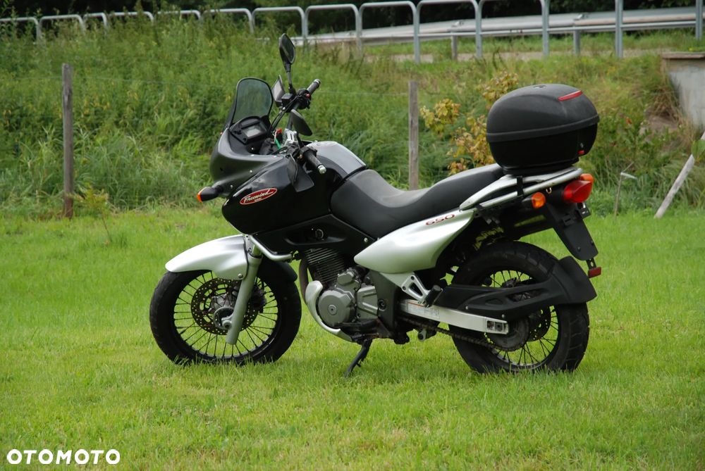 Suzuki XF - 10