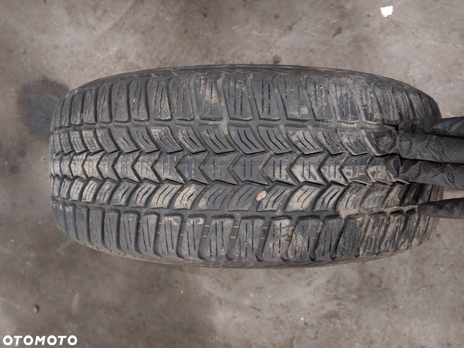 OPONA ZIMOWA 1 SZT 205/55R16 DĘBICA FRIGO HP2 - 10
