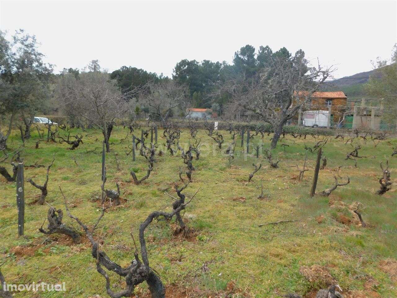 Quintinha Estúdio / Covilhã, Serra da Estrela - Grande imagem: 5/8