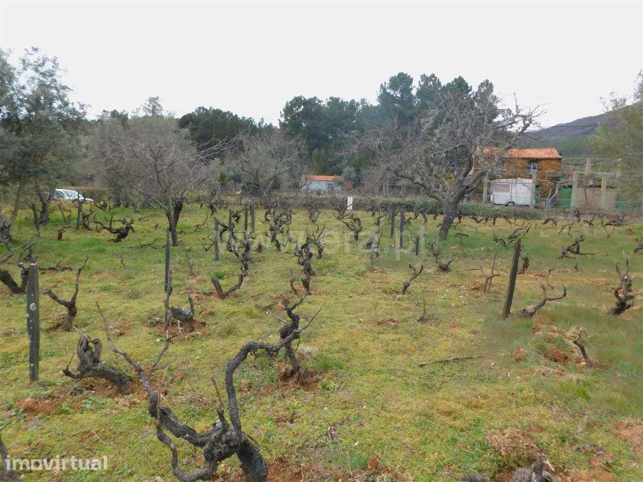 Quintinha Estúdio / Covilhã, Serra da Estrela - Grande imagem: 5/8