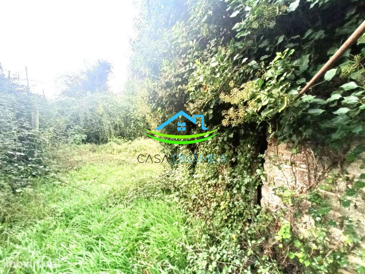 Moradia para Recuperar – Oportunidade em Soure - Grande imagem: 5/31