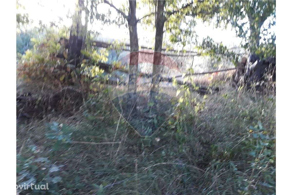 Terrenos para venda - Grande imagem: 5/5