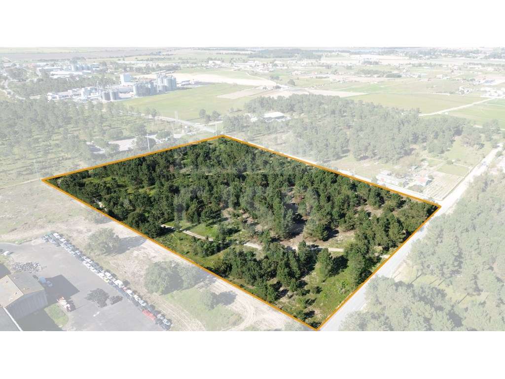 Oportunidade - 5 ha | Zona Industrial Salvaterra de Magos - Grande imagem: 2/17