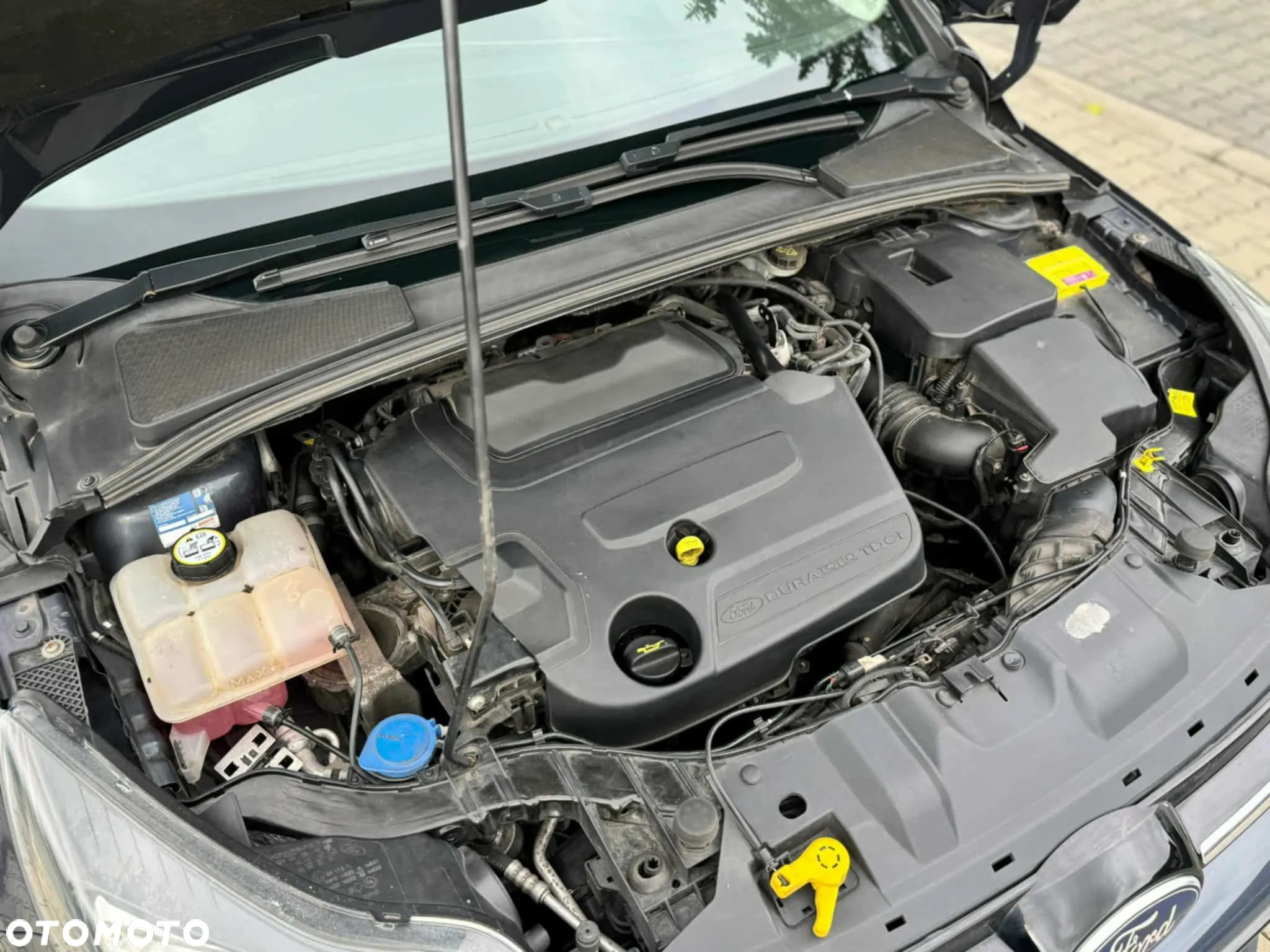 Ford Focus - 26