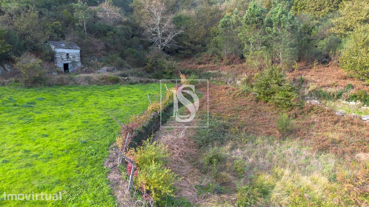 Terreno  Venda em Ansiães,Amarante - Grande imagem: 2/10