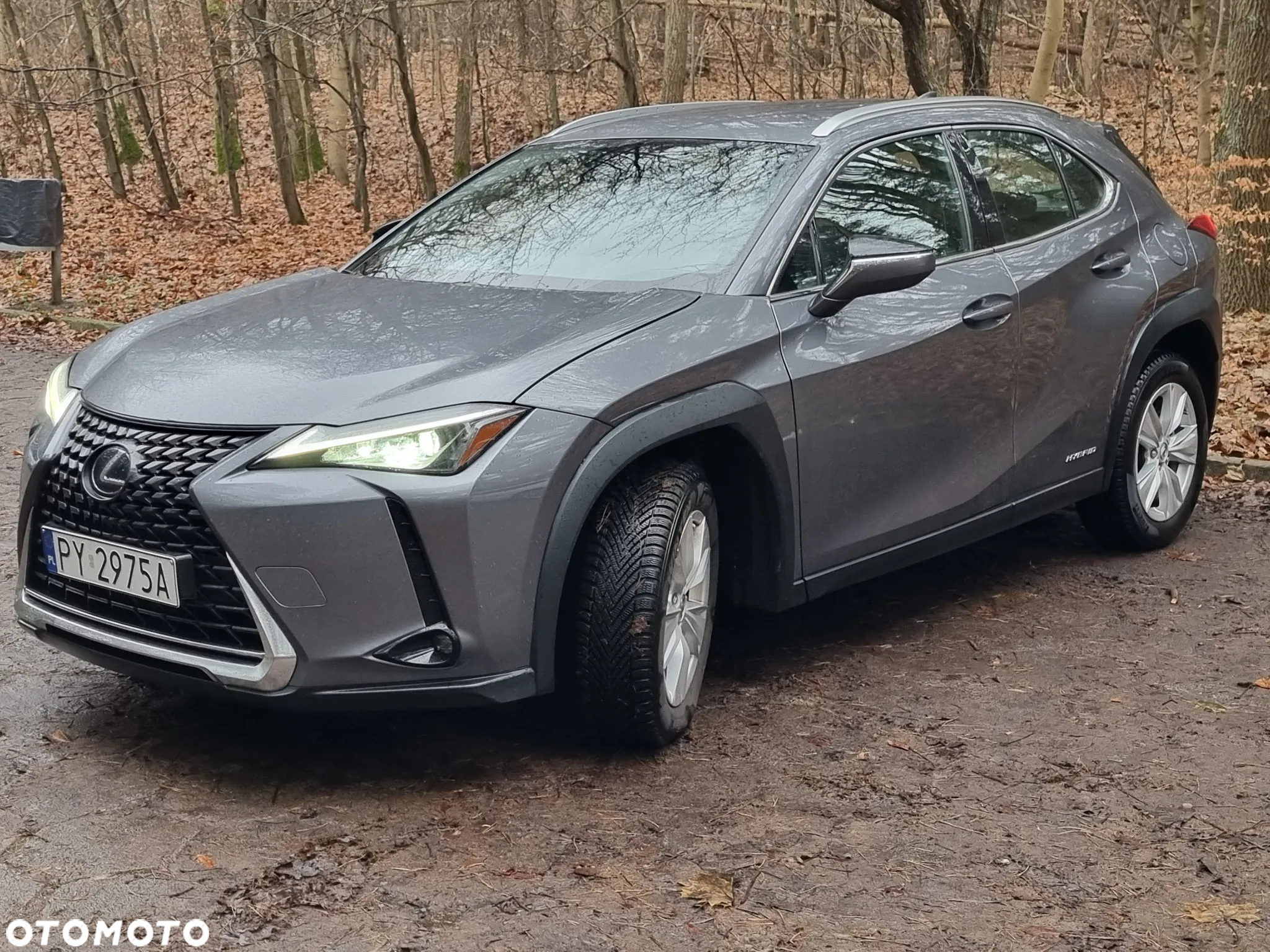 Lexus UX - 3