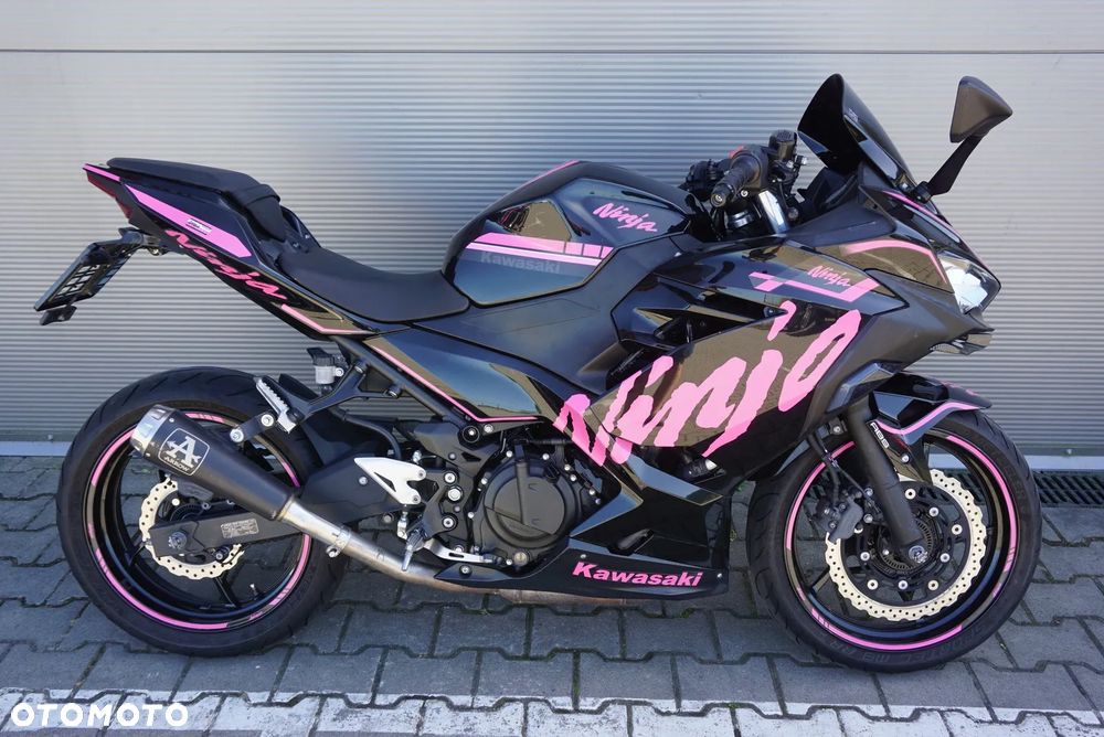 Kawasaki Ninja - 2