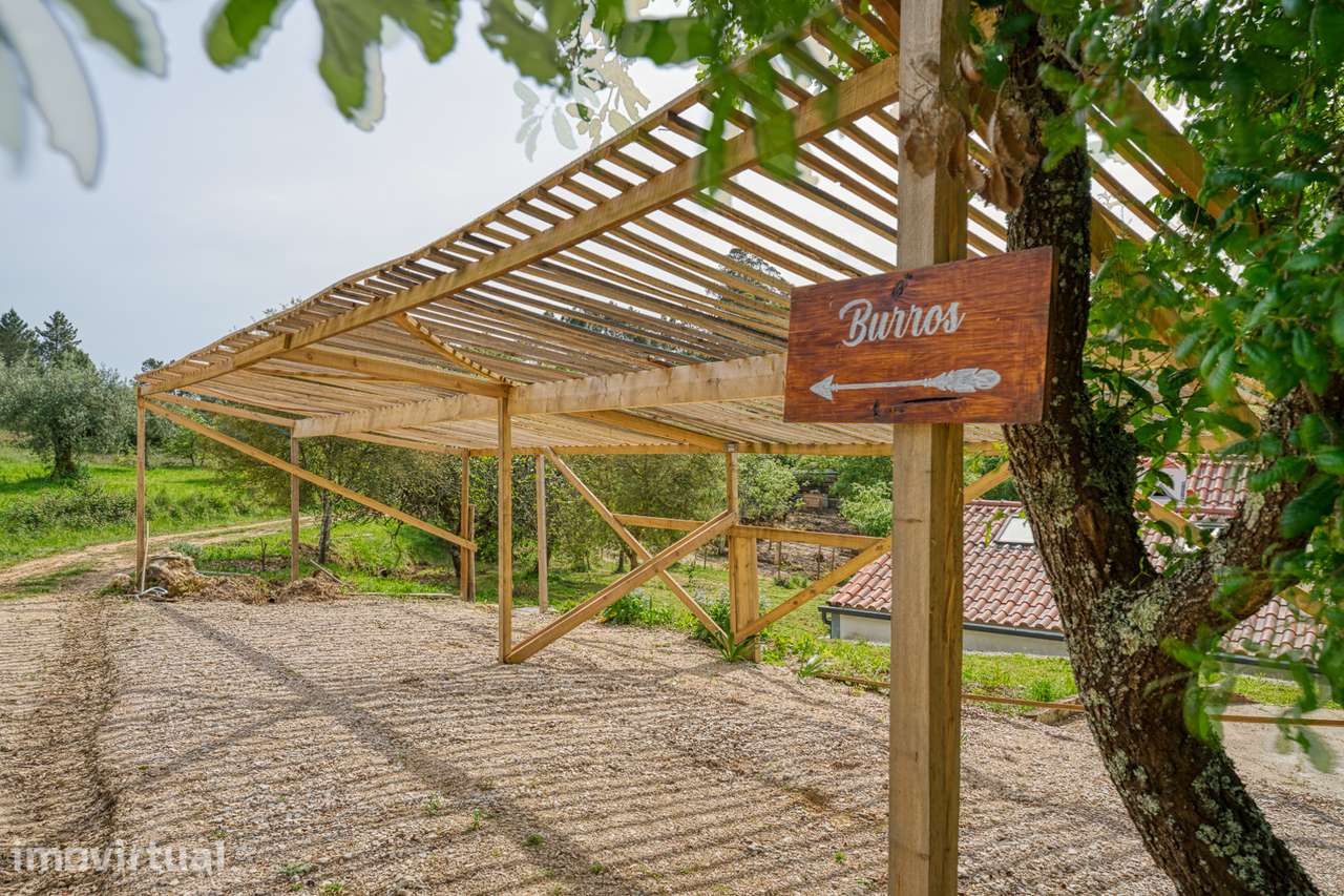 Quinta / Guest house - Grande imagem: 3/22