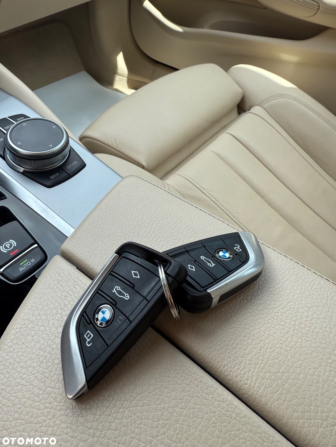 BMW Seria 5 530e Luxury Line sport - 37