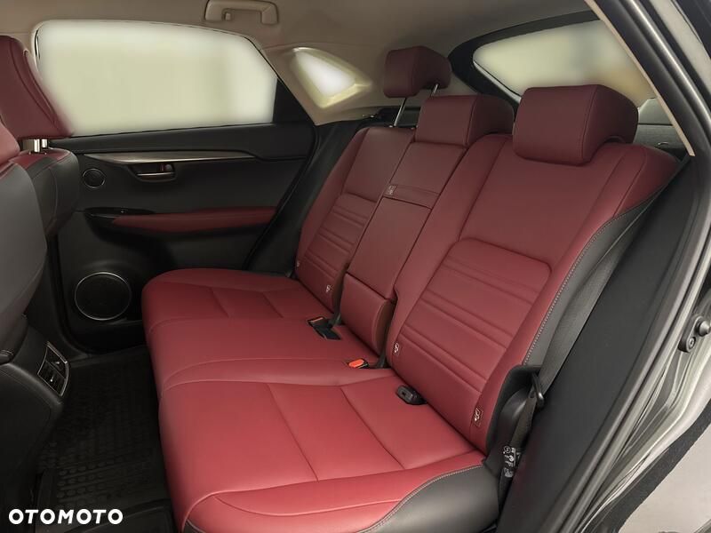 Lexus NX 300h Business Edition AWD - 20