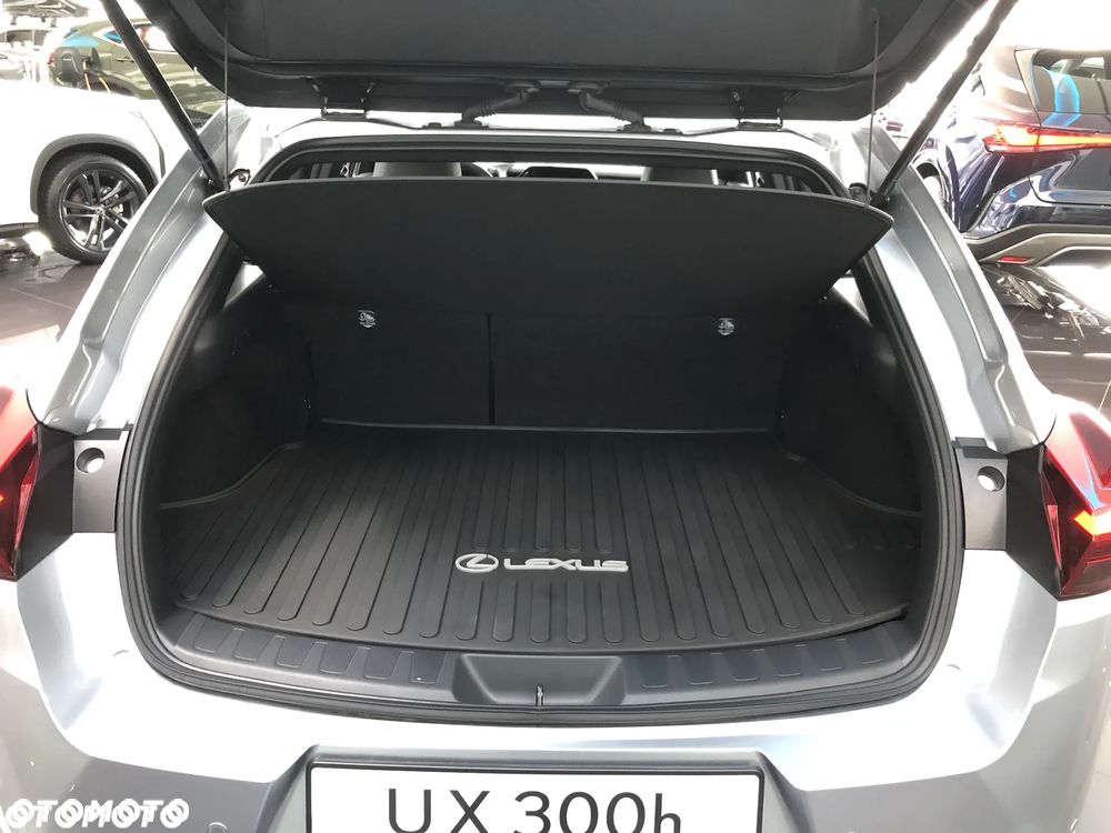 Lexus UX 300h Business - 7