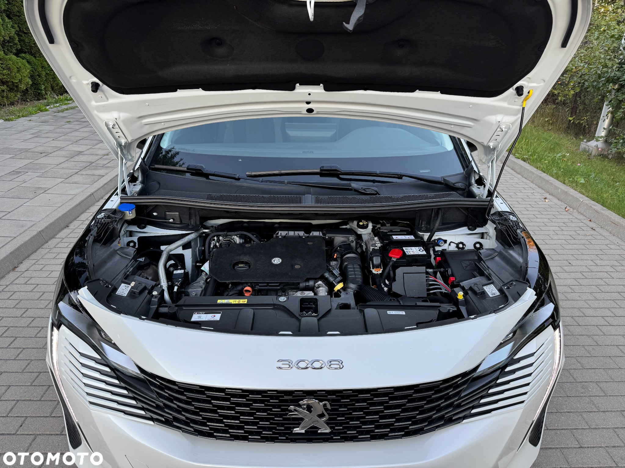 Peugeot 3008 1.5 BlueHDi Allure Pack S&S EAT8 - 28