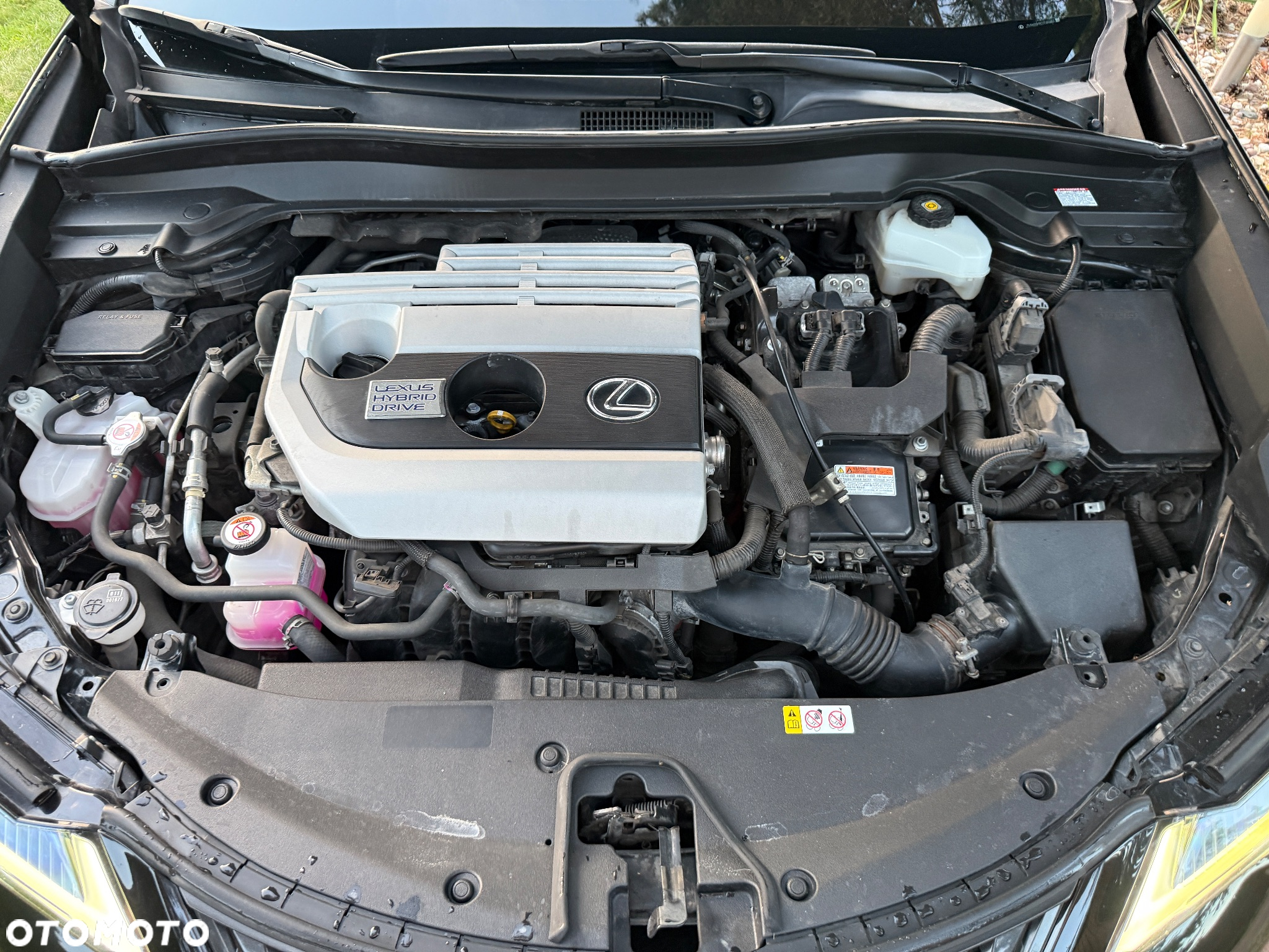 Lexus UX 250h Business Edition - 29