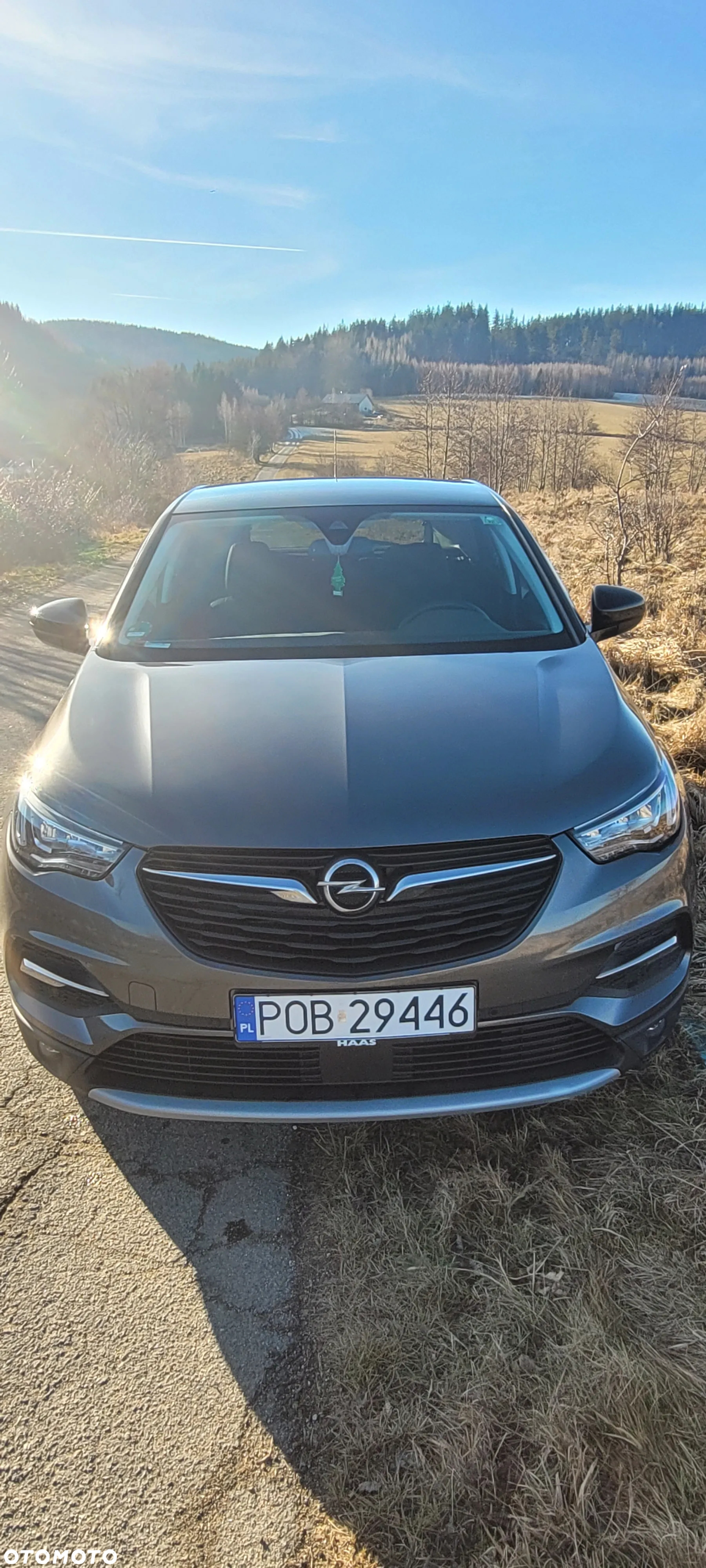 Opel Grandland X - 4