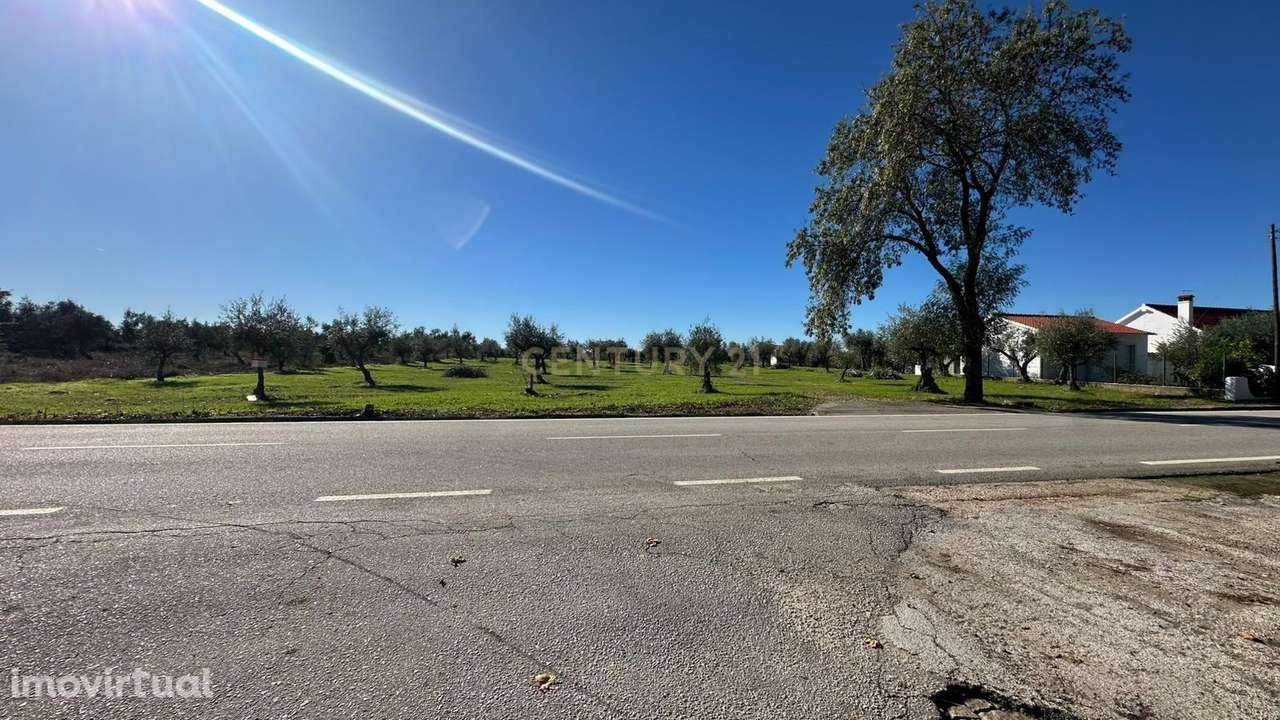 Terreno Rústico em Ladoeiro, Idanha a Nova - 48.000€ - Grande imagem: 3/16