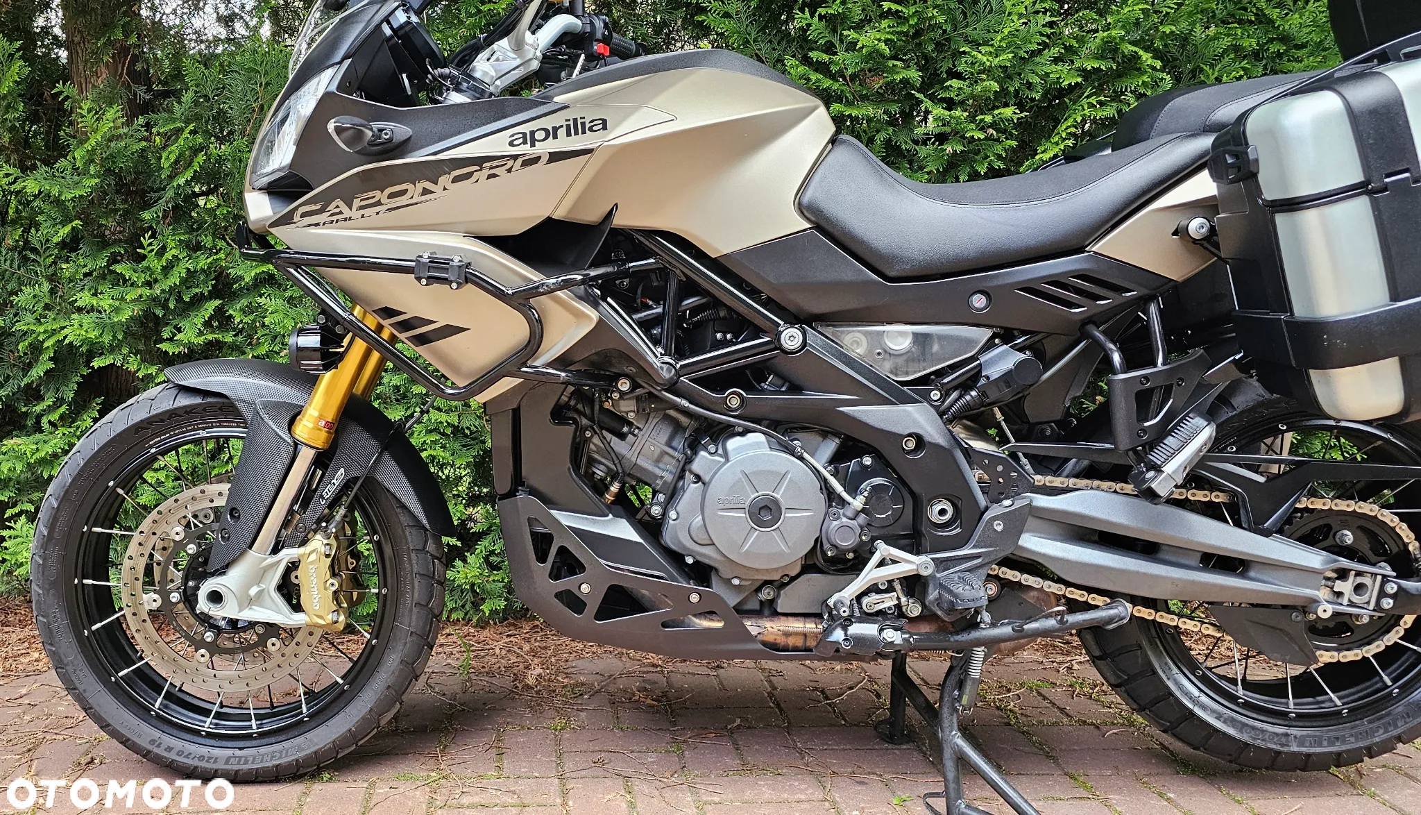 Aprilia Caponord - 18