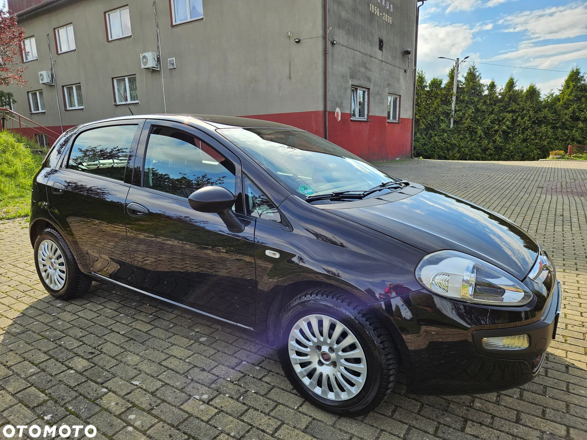 Fiat Punto 1.2 Easy - 5