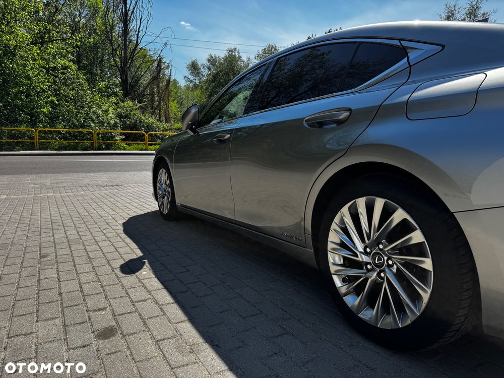 Lexus ES 300h Omotenashi - 10