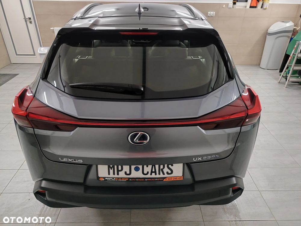 Lexus UX 250h Elegance 2WD - 11