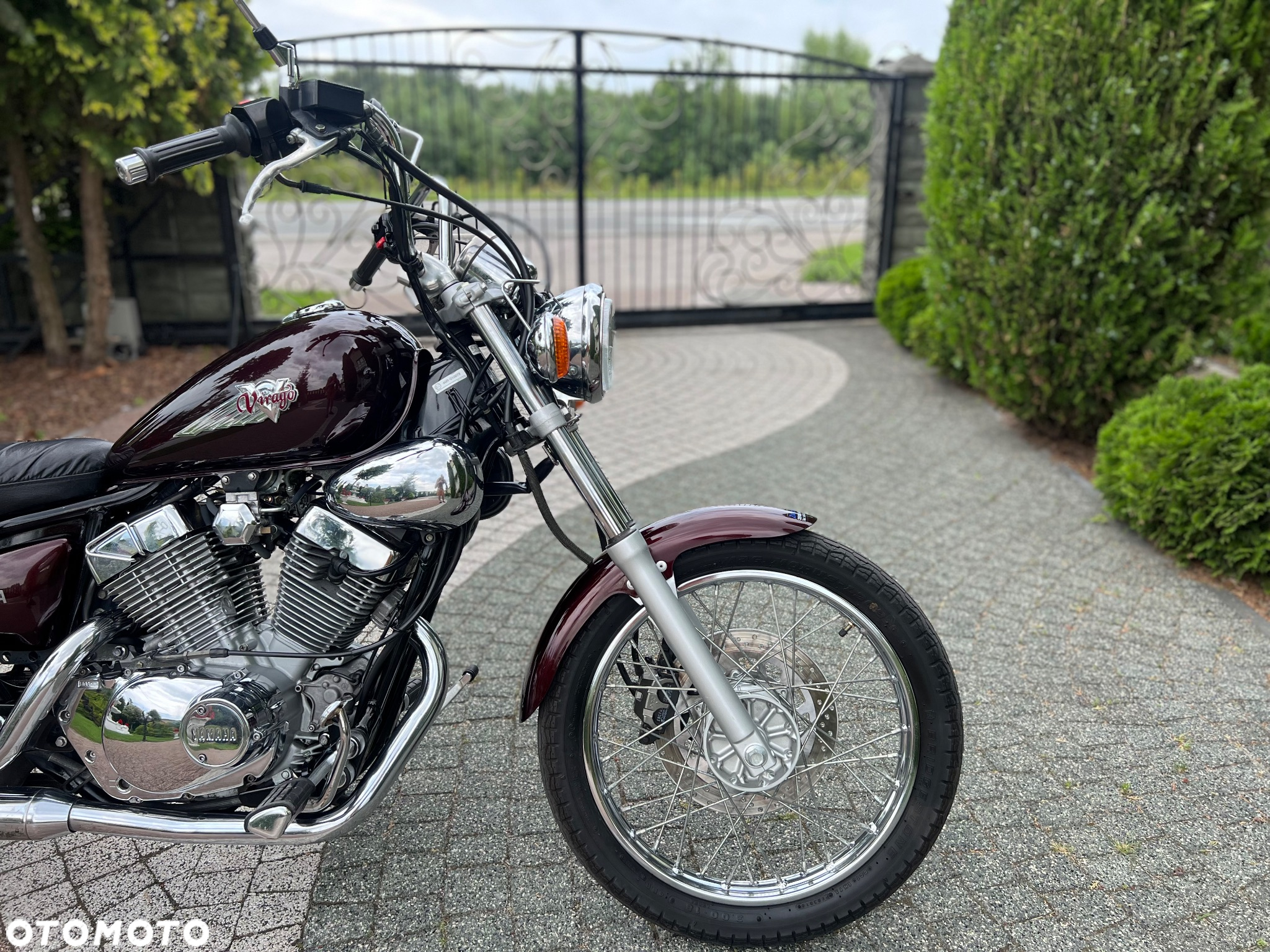 Yamaha Virago - 5