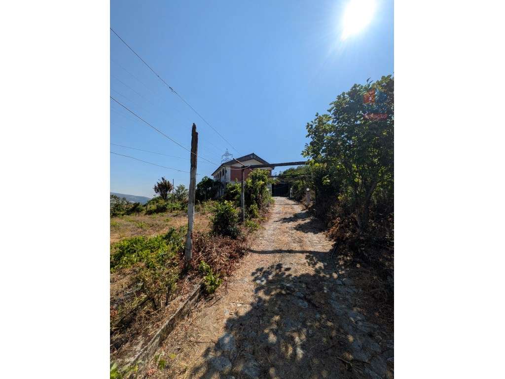 QUINTA COM MORADIA T3 PISCINA TERRENO E ANEXOS - Grande imagem: 2/53