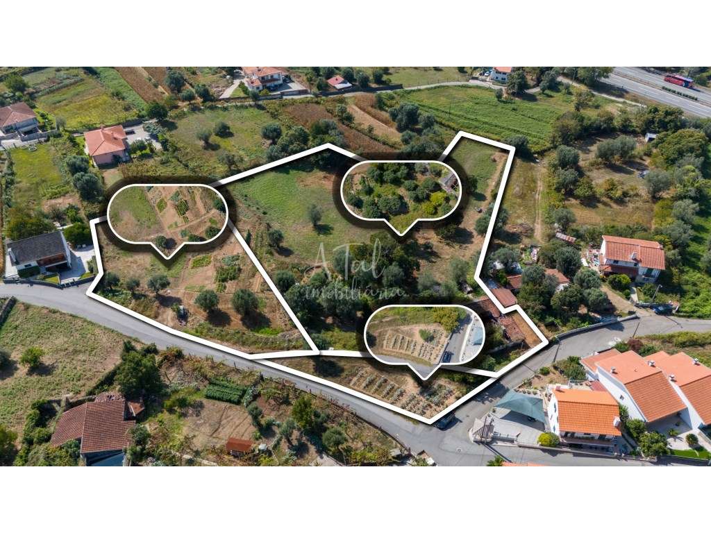 Terreno Residencial de 7013m² com Casa em Ruína em Ponte de Lima - Grande imagem: 2/2