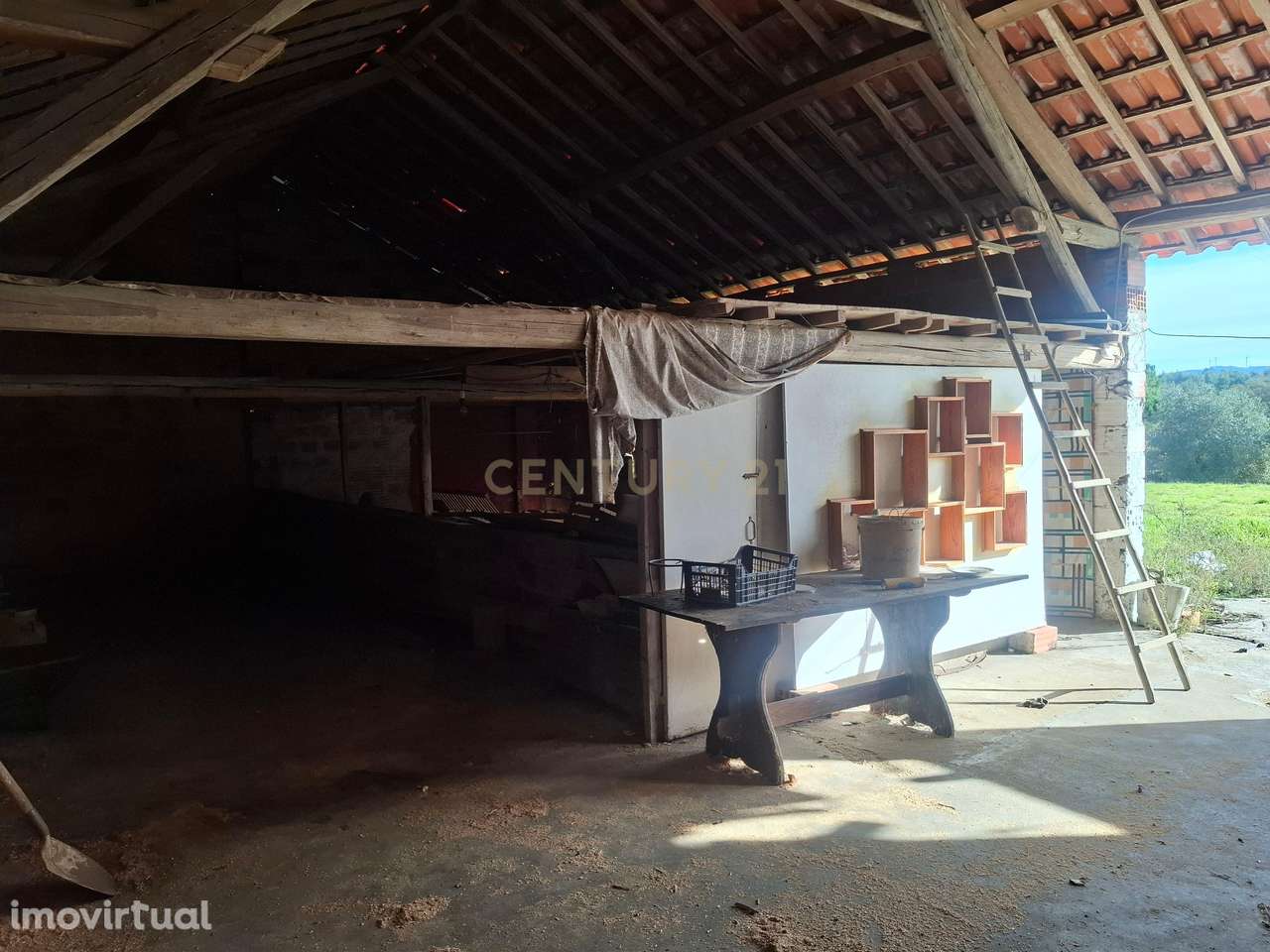 Moradia tipologia T2 - Grande imagem: 3/4