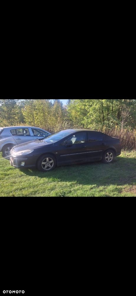 Peugeot 407 - 4