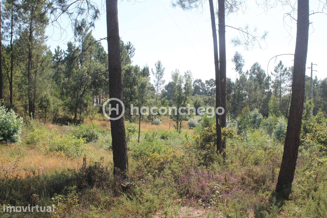 Terreno  Venda em Ucha,Barcelos - Grande imagem: 5/10