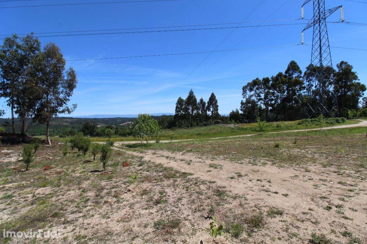 Terreno a 10 Kms do Centro – 2,3 Hectares - Grande imagem: 2/18