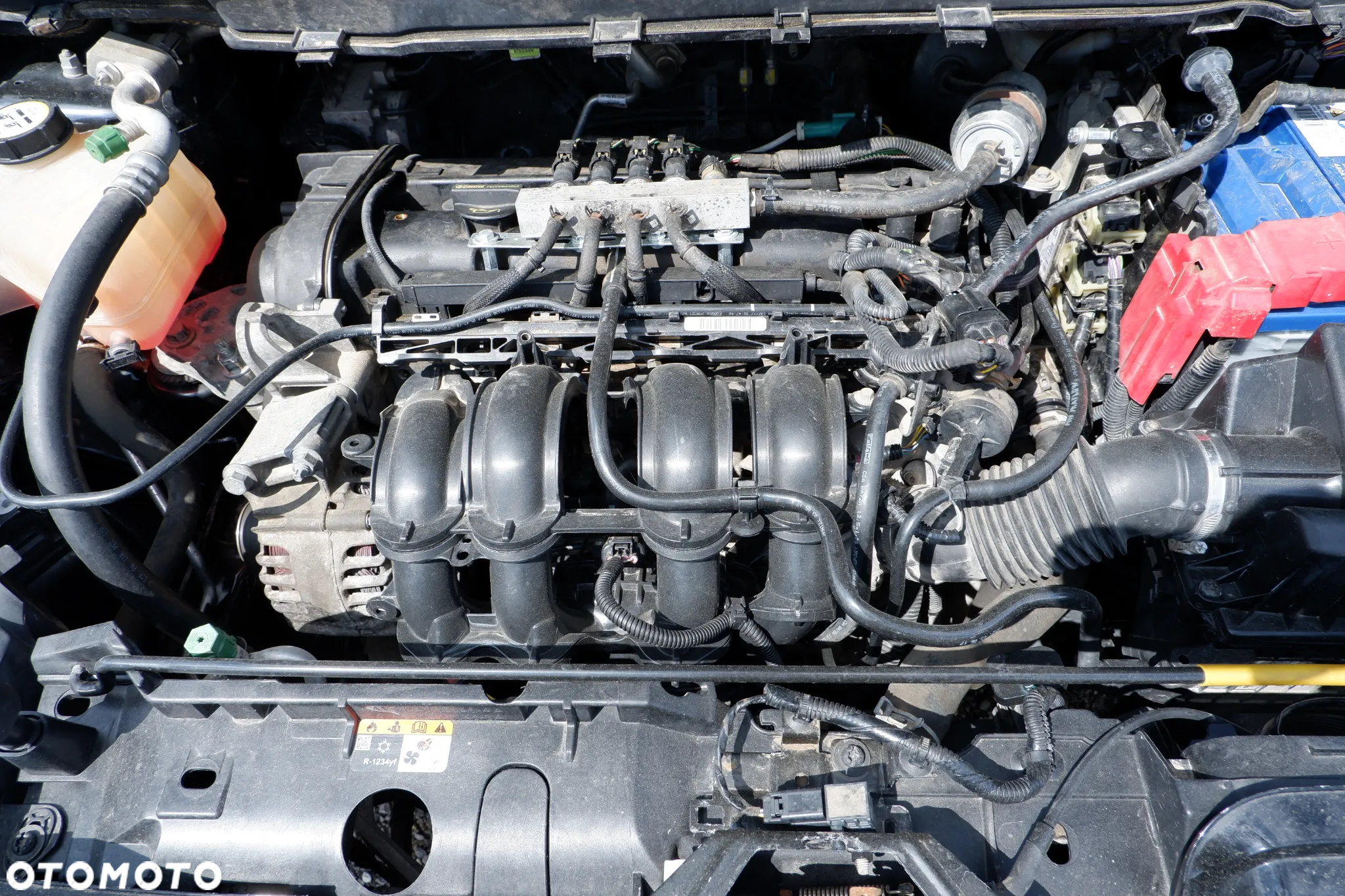 Ford B-MAX 1.4 Ambiente EU6 - 38