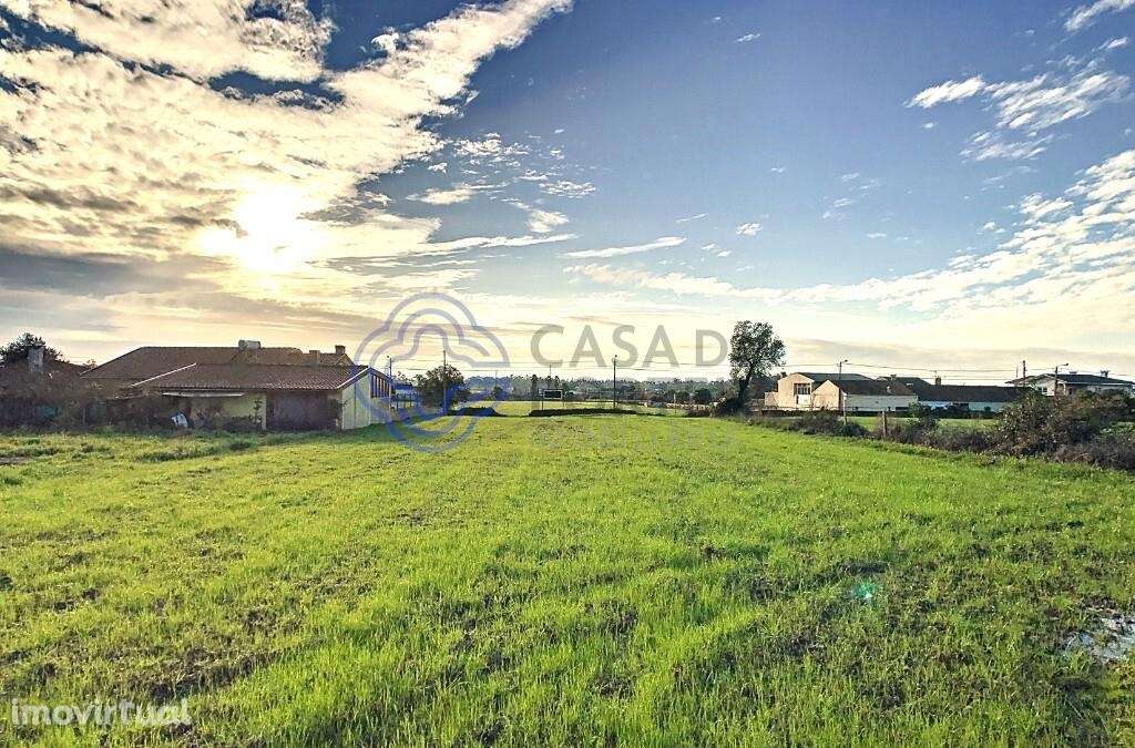 Amplo Terreno com 2.860 m2 e Viabilidade de Construção - Grande imagem: 5/9