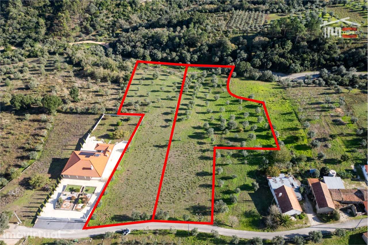 TERRENO 12.633 M2 NUMA ZONA HABITACIONAL TRANQUILA EM ATOUGUIA - Grande imagem: 3/14