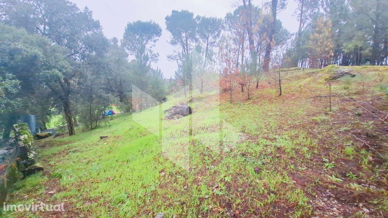 Terreno Para Construção  Venda em Parada de Gonta,Tondela - Grande imagem: 3/10