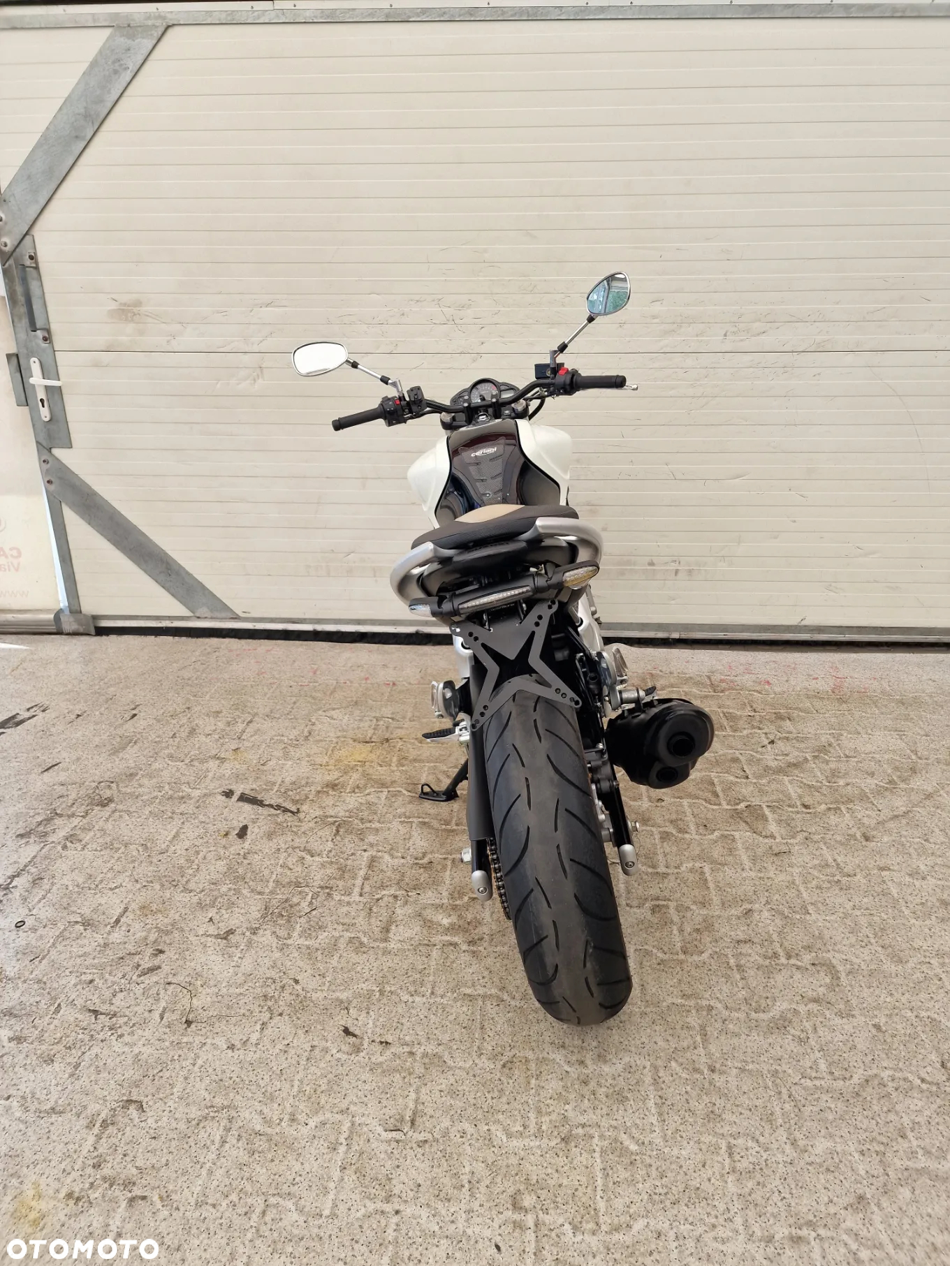 Suzuki Gladius - 26