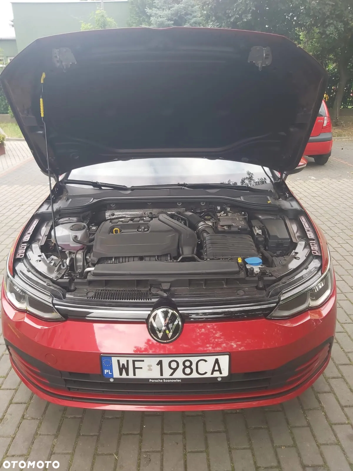 Volkswagen Golf VIII 1.5 TSI EVO Life - 6