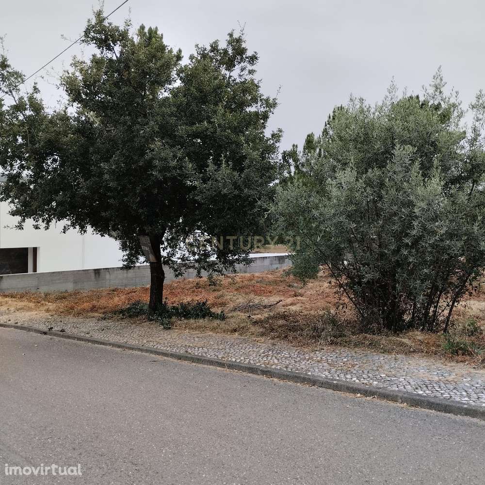Lote para construção de moradia individual em Pombal - Grande imagem: 2/27