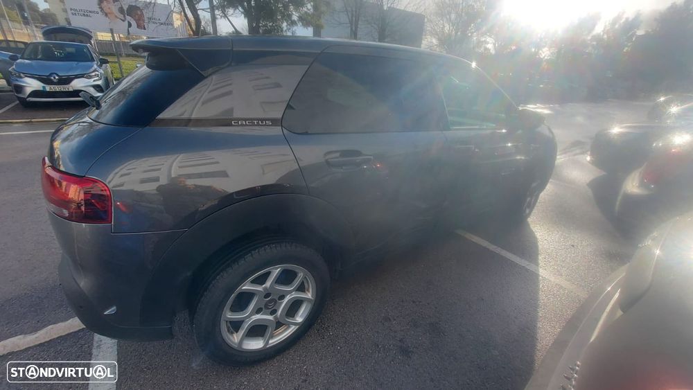Citroën C4 Cactus 1.5 BlueHDi C-Series - 24