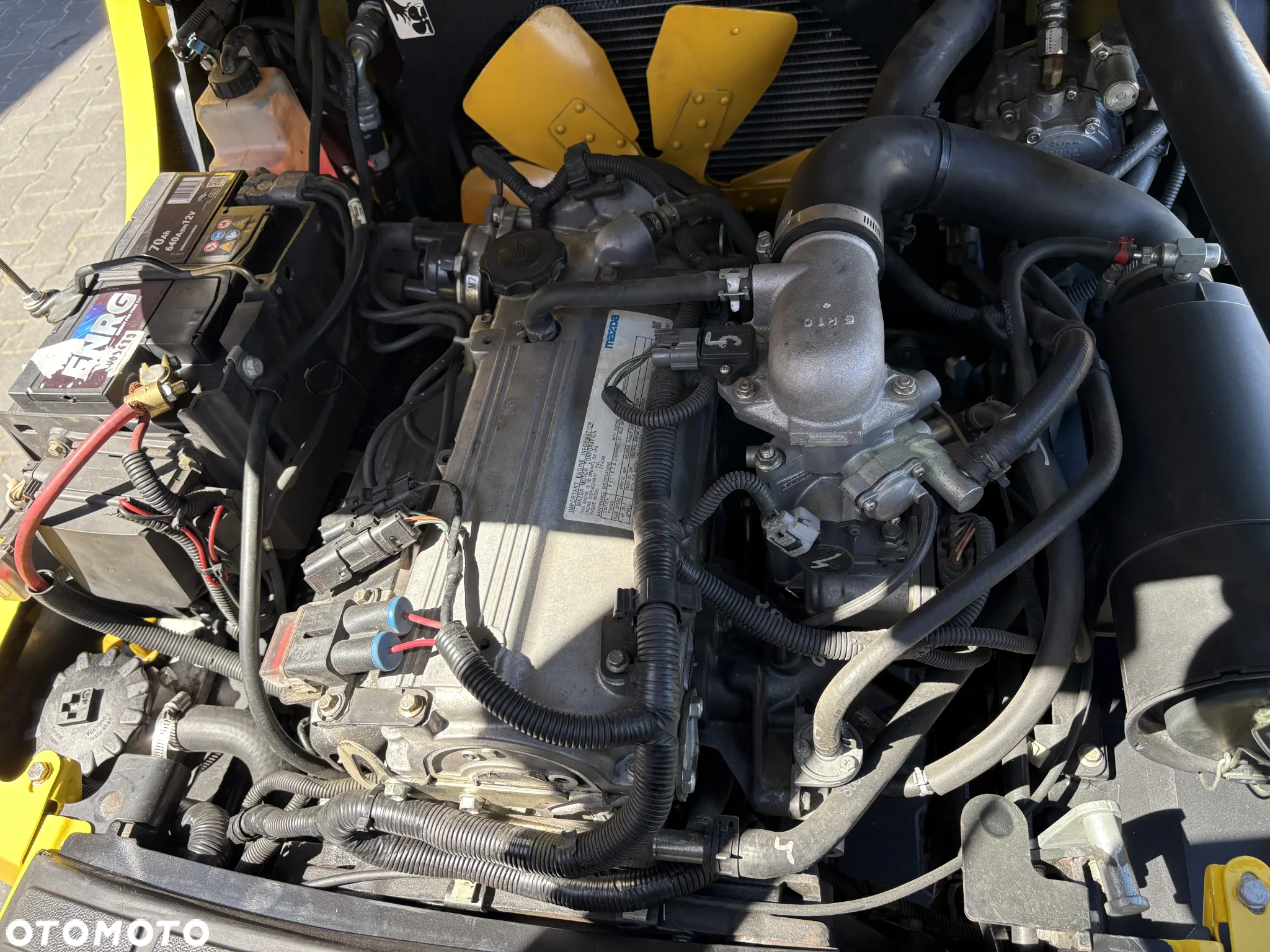 Hyster H1.8FT - 31