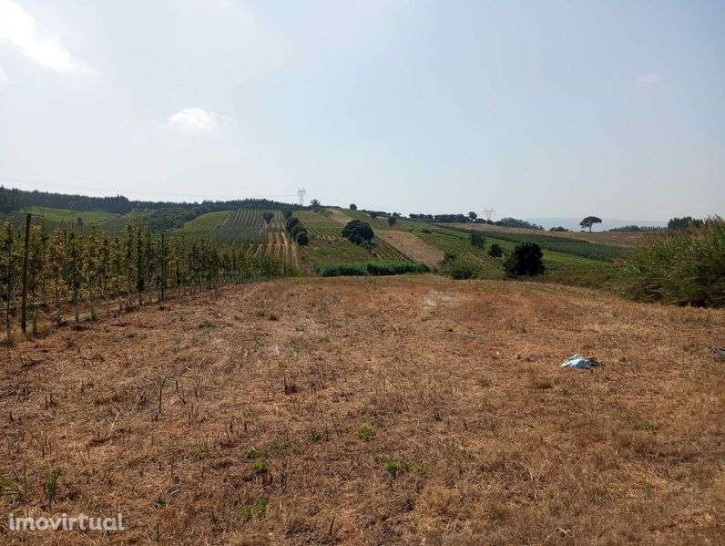 Terreno agrícola - Grande imagem: 2/6