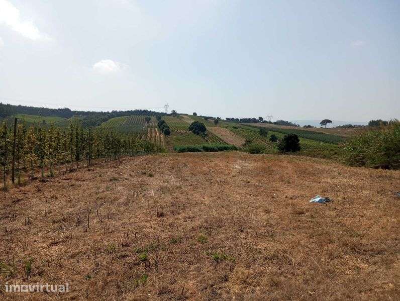 Terreno agrícola - Grande imagem: 2/6