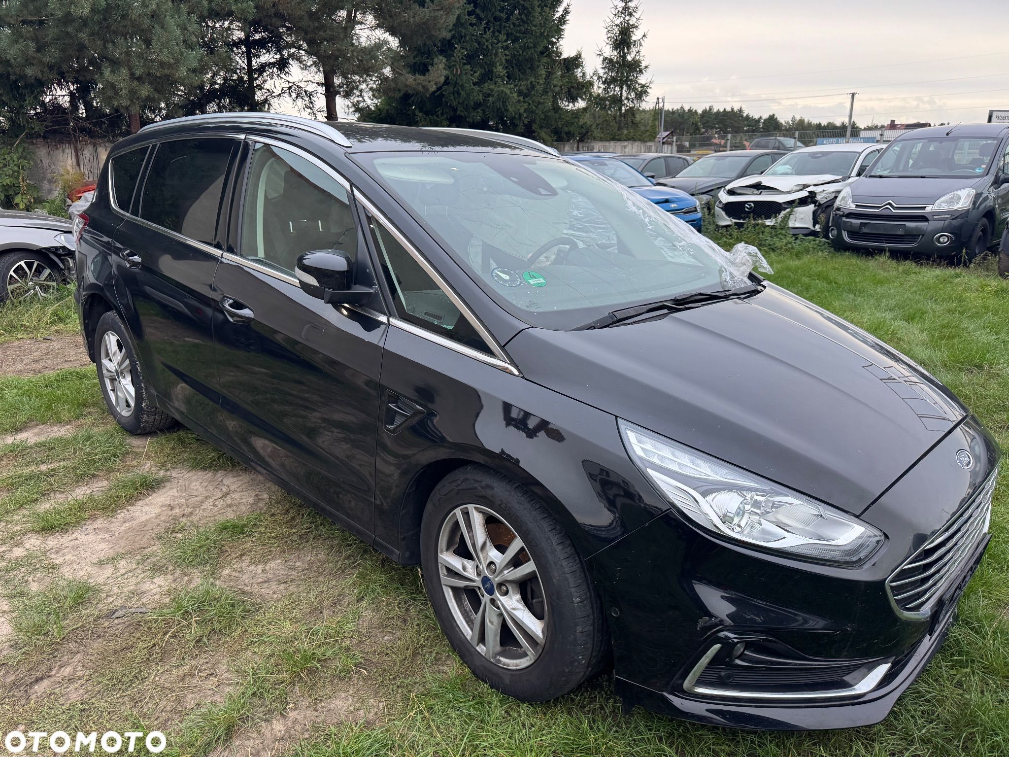 Ford S-Max 2.0 EcoBlue Titanium - 1